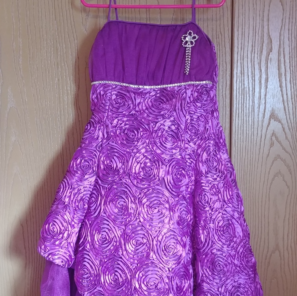 Purple formal/pageant dress